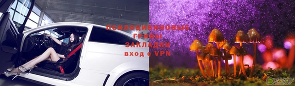 а пвп мука Дмитриев